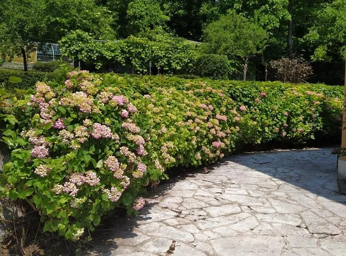 Gasthuis Dolomitiloungebelluno Mountain Resources