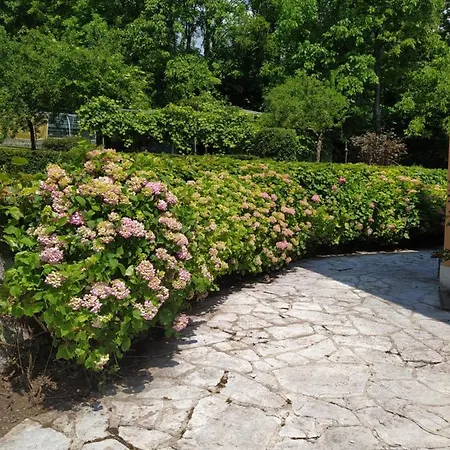 招待所 Dolomitiloungebelluno Mountain Resources