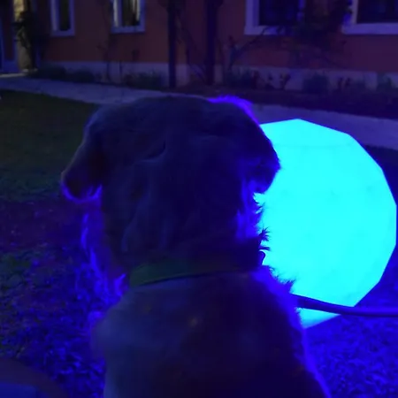 Dolomitiloungebelluno Mountain Resources