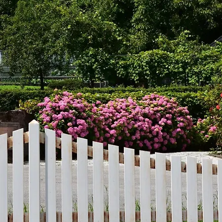 Dolomitiloungebelluno Mountain Resources 招待所